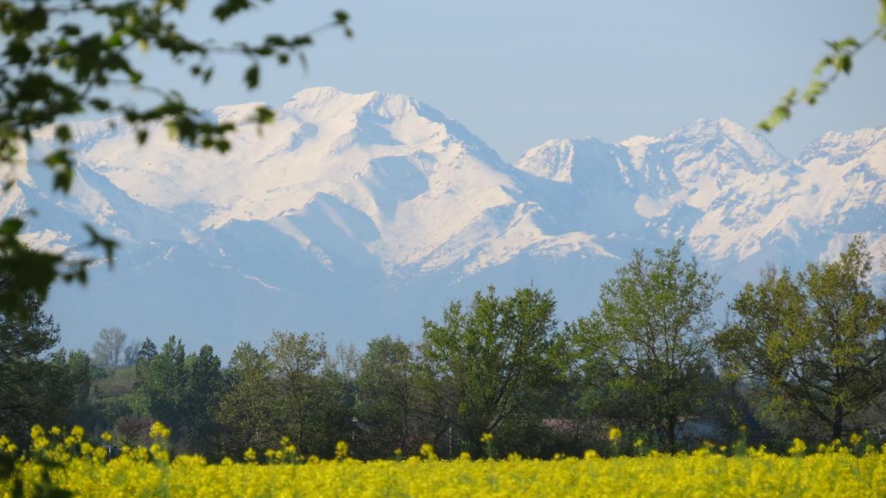 Gite La Tourasse Les Tournesols Lamasquere Exterior photo